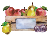 äpfel birnen